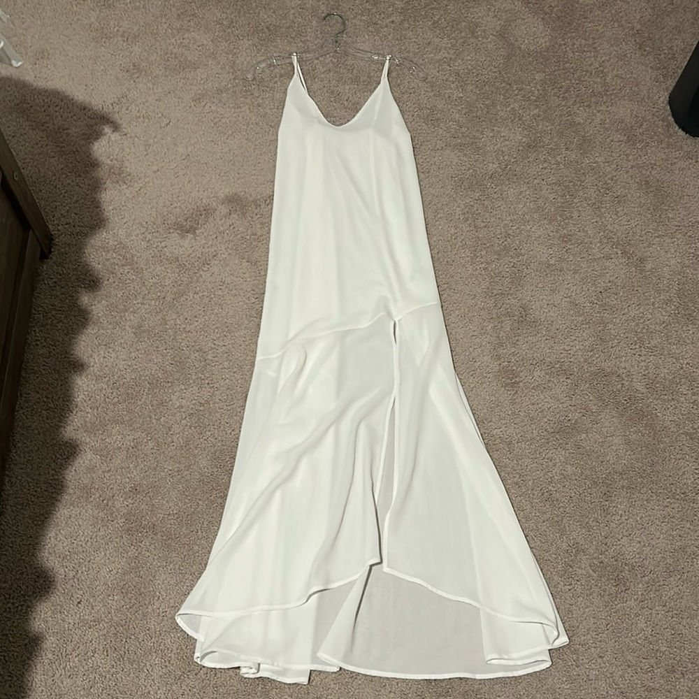 Impeccable Pig Dress - image 1